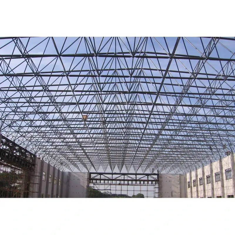 Malaking Span Steel Space Frame Structure